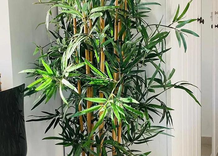 Linari Bohemian Living * Kavallos (Lefkada)